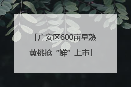 广安区600亩早熟黄桃抢“鲜”上市