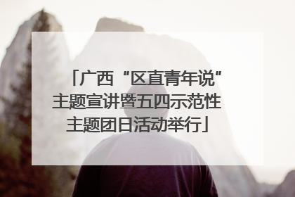 广西“区直青年说”主题宣讲暨五四示范性主题团日活动举行