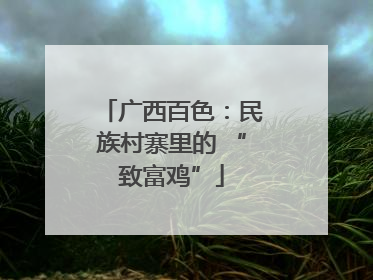 广西百色：民族村寨里的 “致富鸡”