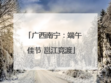 广西南宁：端午佳节 邕江竞渡