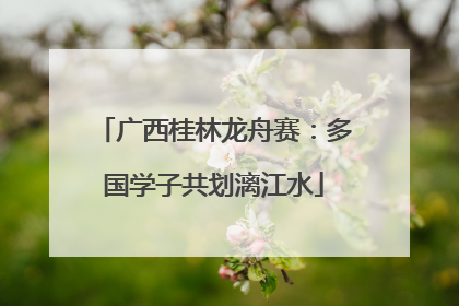 广西桂林龙舟赛：多国学子共划漓江水