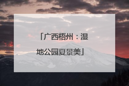 广西梧州：湿地公园夏景美