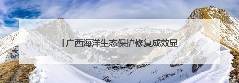 广西海洋生态保护修复成效显著 探索生态惠民发展模式