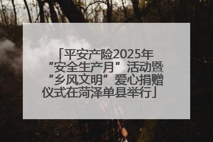 平安产险2025年“安全生产月”活动暨“乡风文明”爱心捐赠仪式在菏泽单县举行