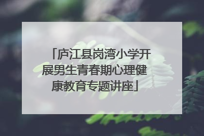 庐江县岗湾小学开展男生青春期心理健康教育专题讲座