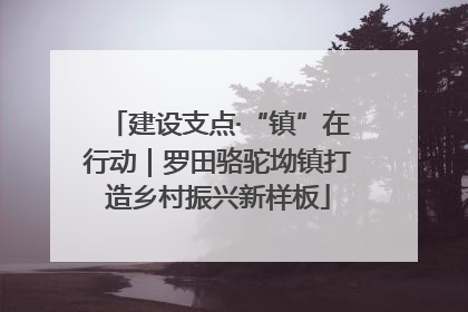 建设支点·“镇”在行动｜罗田骆驼坳镇打造乡村振兴新样板