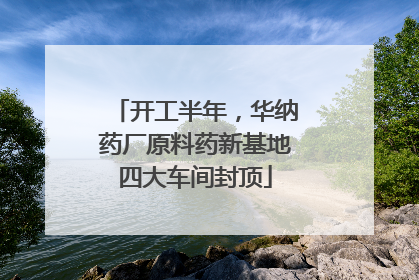 开工半年，华纳药厂原料药新基地四大车间封顶