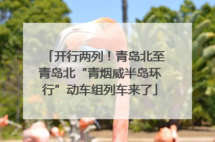 开行两列！青岛北至青岛北“青烟威半岛环行”动车组列车来了