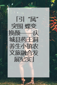 引“凤”突围 蝶变换颜——庆城县药王洞养生小镇农文旅融合发展纪实