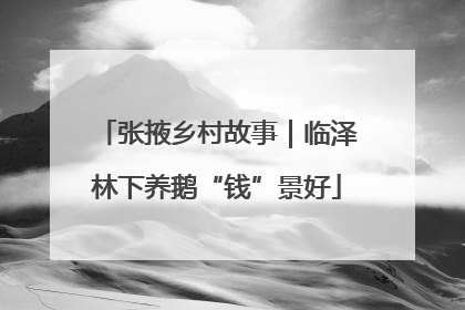 张掖乡村故事｜临泽林下养鹅“钱”景好