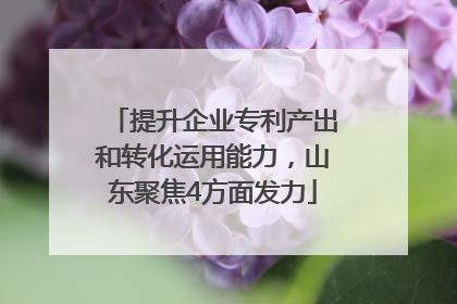 提升企业专利产出和转化运用能力，山东聚焦4方面发力