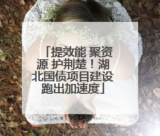 提效能 聚资源 护荆楚！湖北国债项目建设跑出加速度