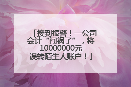 接到报警！一公司会计“闯祸了”，将10000000元误转陌生人账户！