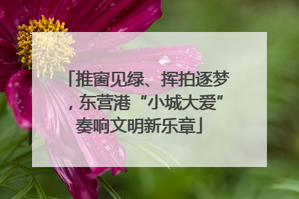 推窗见绿、挥拍逐梦，东营港“小城大爱”奏响文明新乐章