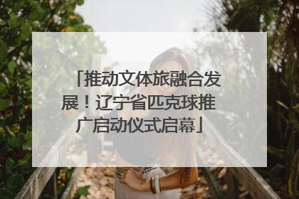 推动文体旅融合发展！辽宁省匹克球推广启动仪式启幕