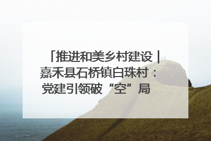 推进和美乡村建设｜嘉禾县石桥镇白珠村：党建引领破“空”局 乡贤聚力绘就新图景