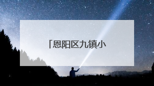 恩阳区九镇小学开展师德师风宣誓活动