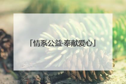 情系公益·奉献爱心