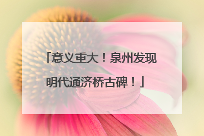意义重大！泉州发现明代通济桥古碑！