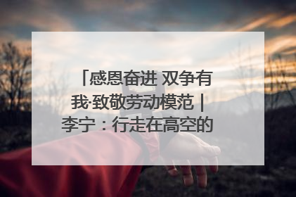 感恩奋进 双争有我·致敬劳动模范｜李宁：行走在高空的“电网卫士”