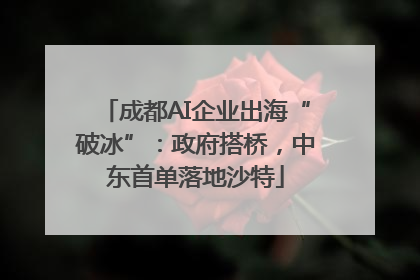 成都AI企业出海“破冰”：政府搭桥，中东首单落地沙特