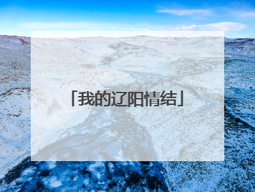 我的辽阳情结