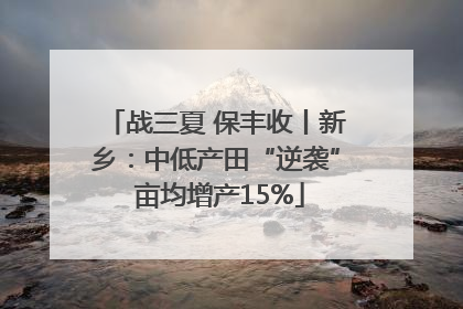 战三夏 保丰收丨新乡：中低产田“逆袭” 亩均增产15%