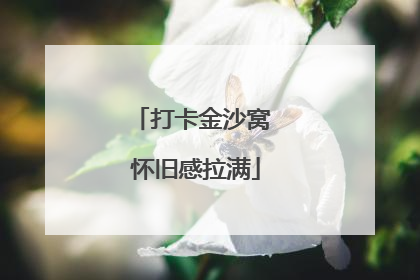 打卡金沙窝 怀旧感拉满