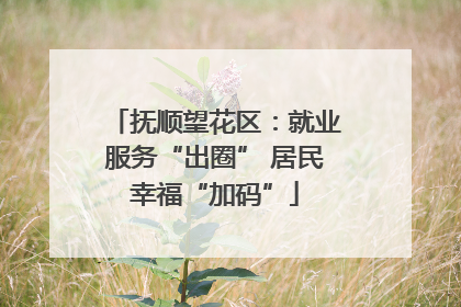 抚顺望花区：就业服务“出圈” 居民幸福“加码”