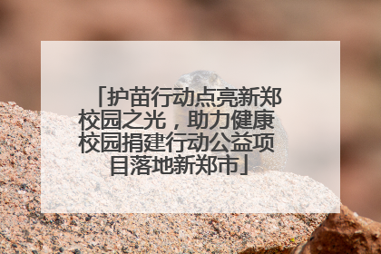 护苗行动点亮新郑校园之光，助力健康校园捐建行动公益项目落地新郑市