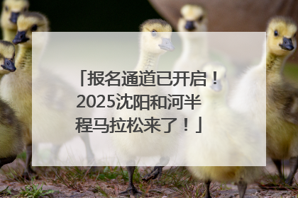 报名通道已开启！2025沈阳和河半程马拉松来了！