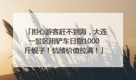 担心游客赶不到海，大连一景区用铲车日撒1000斤蚬子！情绪价值拉满！