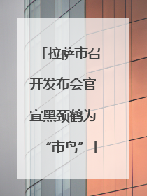 拉萨市召开发布会官宣黑颈鹤为“市鸟”
