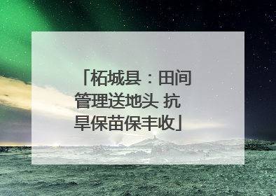 柘城县：田间管理送地头 抗旱保苗保丰收