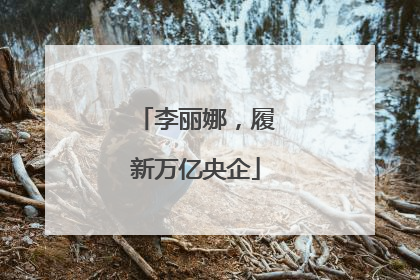 李丽娜，履新万亿央企