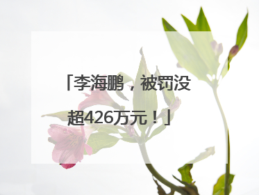 李海鹏，被罚没超426万元！