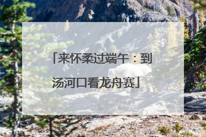 来怀柔过端午：到汤河口看龙舟赛