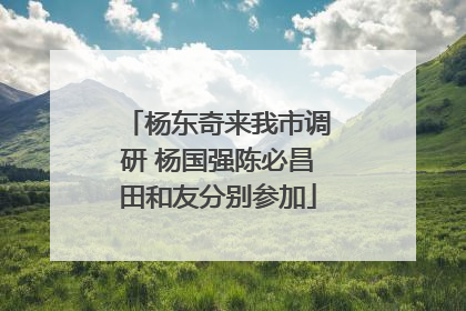 杨东奇来我市调研 杨国强陈必昌田和友分别参加