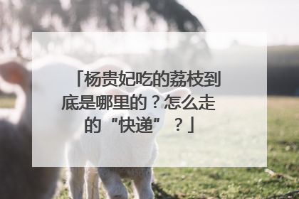 杨贵妃吃的荔枝到底是哪里的？怎么走的“快递”？