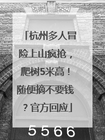 杭州多人冒险上山疯抢，爬树5米高！随便摘不要钱？官方回应