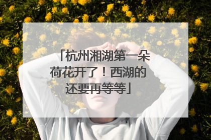 杭州湘湖第一朵荷花开了！西湖的还要再等等