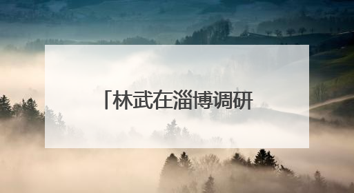 林武在淄博调研督导经济运行