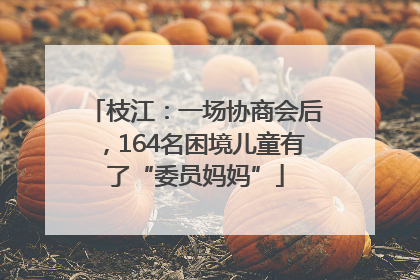 枝江：一场协商会后，164名困境儿童有了“委员妈妈”