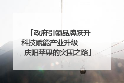 政府引领品牌跃升 科技赋能产业升级——庆阳苹果的突围之路