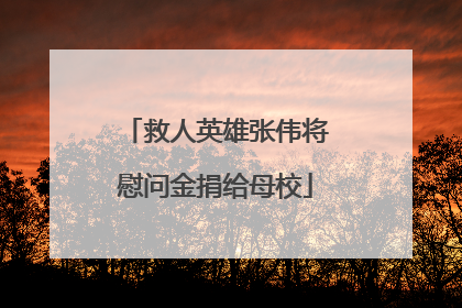 救人英雄张伟将慰问金捐给母校