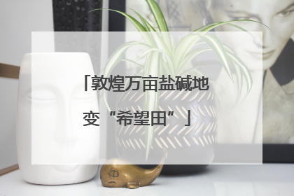 敦煌万亩盐碱地变“希望田”