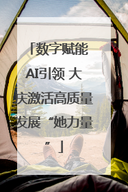 数字赋能 AI引领 大庆激活高质量发展“她力量”