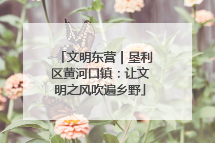 文明东营｜垦利区黄河口镇：让文明之风吹遍乡野