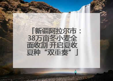 新疆阿拉尔市：38万亩冬小麦全面收割 开启夏收夏种“双重奏”