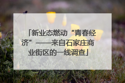 新业态燃动“青春经济”——来自石家庄商业街区的一线调查
